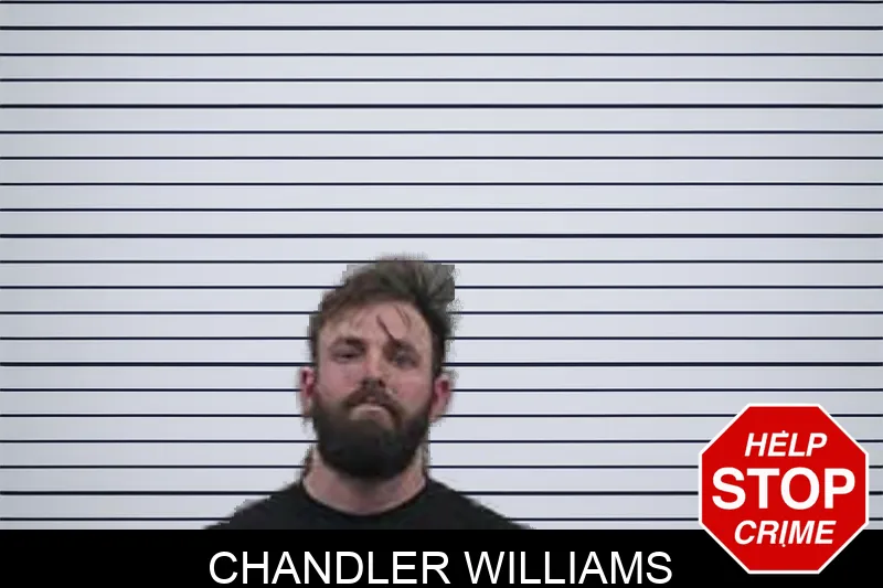 Chandler Williams mugshot