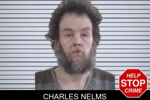 Charles Nelms mugshot