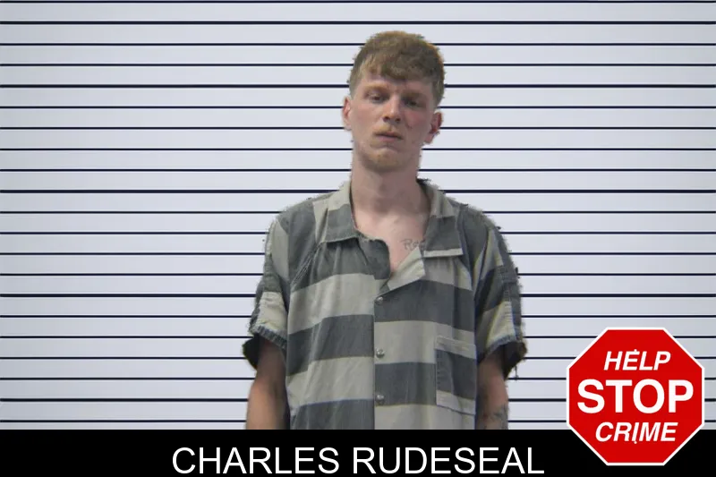 Charles Rudeseal mugshot