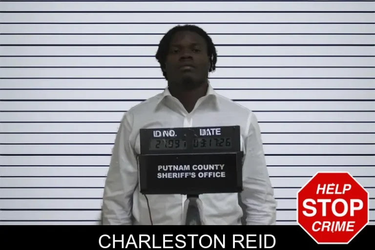 Charleston Reid