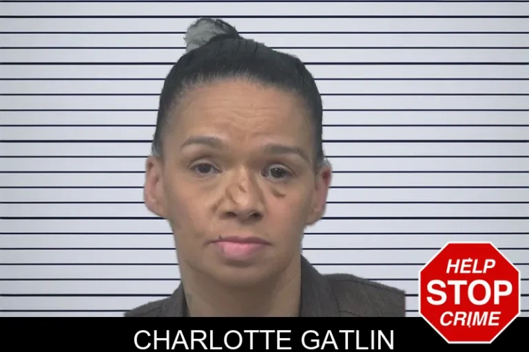 Charlotte Gatlin mugshot – Gwinnett County , Georgia Charlotte Gatlin