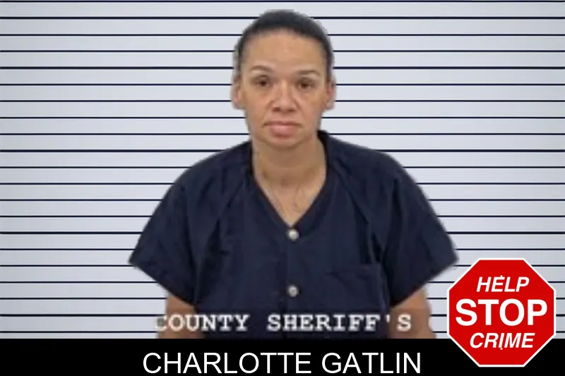 Charlotte Gatlin mugshot