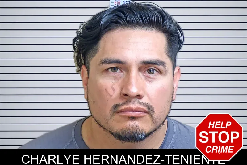 Charlye Hernandez-Teniente mugshot – Gwinnett County , Georgia Charlye Hernandez-Teniente mugshot