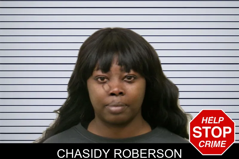 Chasidy Roberson mugshot – Bulloch County , Georgia Chasidy Roberson mugshot
