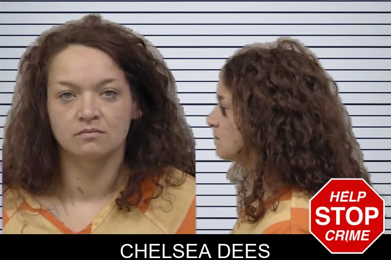 Chelsea Dees mugshot