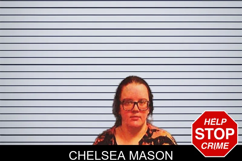 Chelsea Mason mugshot