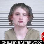 Chelsey Easterwood mugshot – Gordon County , Georgia Chelsey Easterwood mugshot