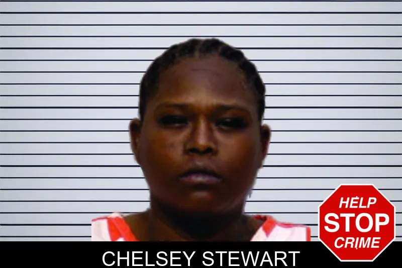 Chelsey Stewart mugshot – Bartow County , Georgia Chelsey Stewart mugshot