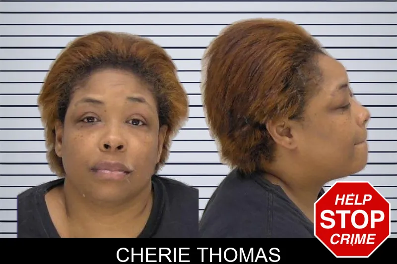 Cherie Thomas mugshot