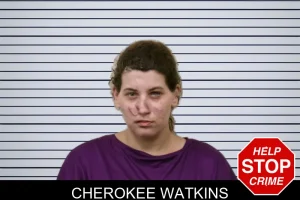 Cherokee Watkins mugshot