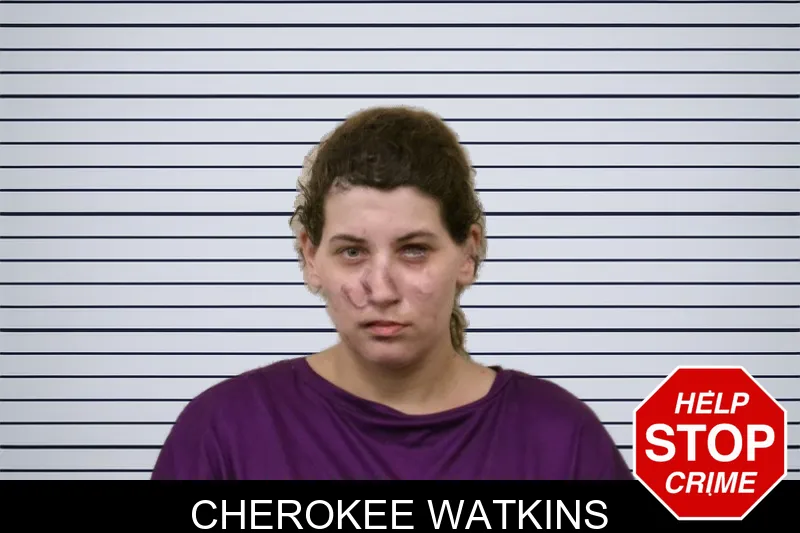 Cherokee Watkins mugshot – Bulloch County , Georgia Cherokee Watkins mugshot