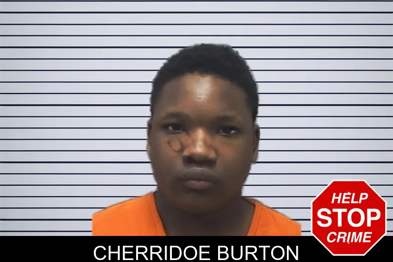 Cherridoe Burton mugshot – Cherokee County , Georgia Cherridoe Burton mugshot