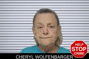 Cheryl Wolfenbarger mugshot