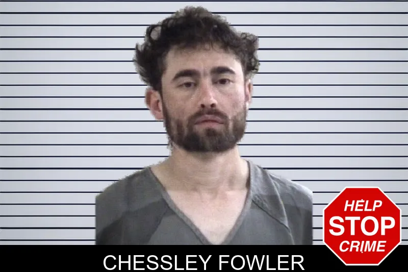 Chessley Fowler mugshot – Whitfield County , Georgia Chessley Fowler mugshot