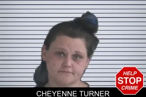 Cheyenne Turner mugshot