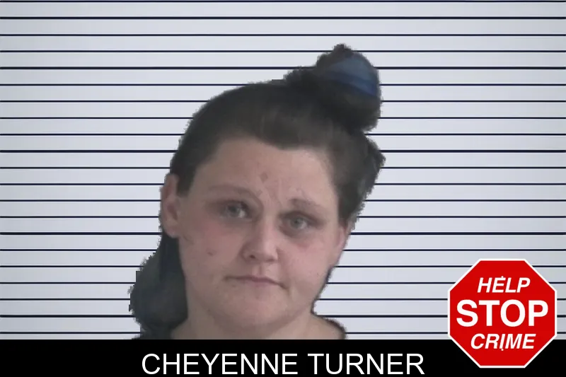 Cheyenne Turner mugshot