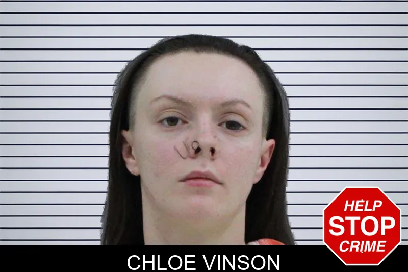 Chloe Vinson mugshot