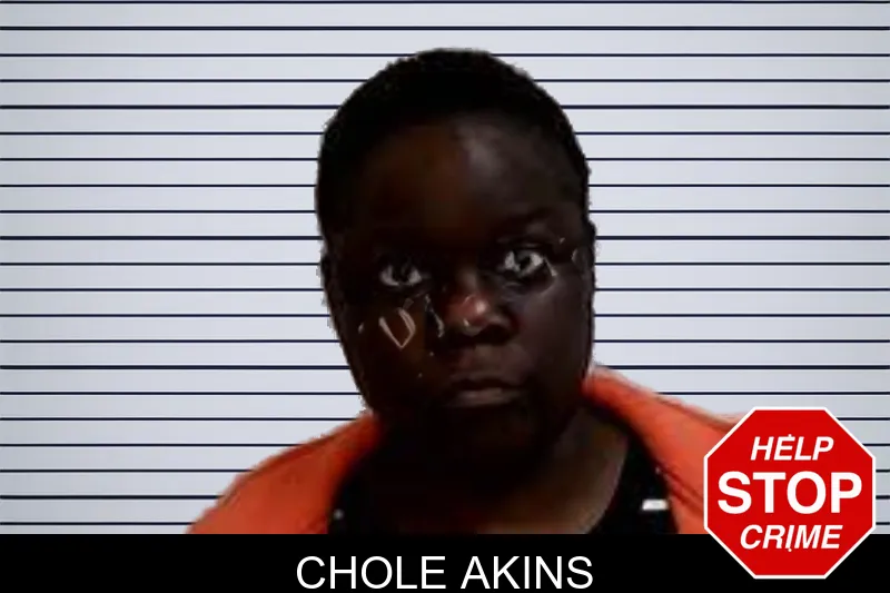 Chole Akins mugshot