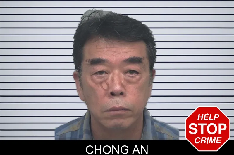 Chong An mugshot