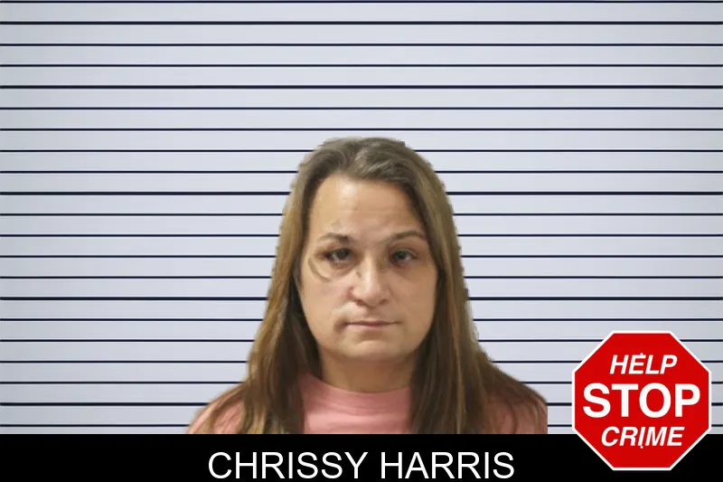 Chrissy Harris mugshot