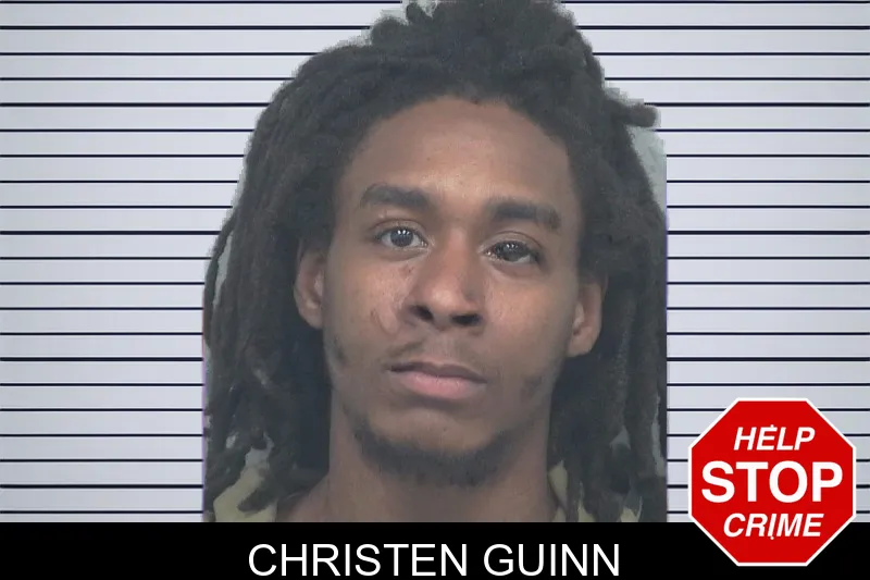 Christen Guinn mugshot – Gwinnett County , Georgia Christen Guinn mugshot