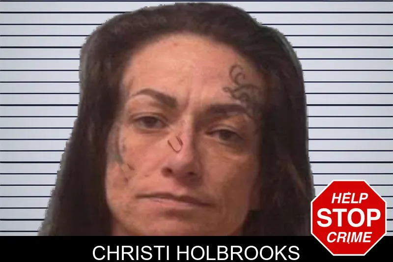 Christi Holbrooks mugshot