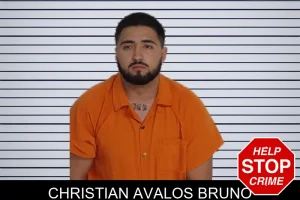 Christian Avalos Bruno mugshot