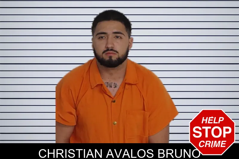 Christian Avalos Bruno mugshot – Rockdale County , Georgia Christian Avalos Bruno mugshot