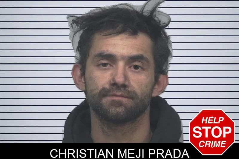 Christian Meji Prada mugshot