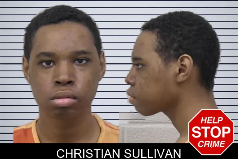 Christian Sullivan mugshot β Paulding County , Georgia Christian Sullivan