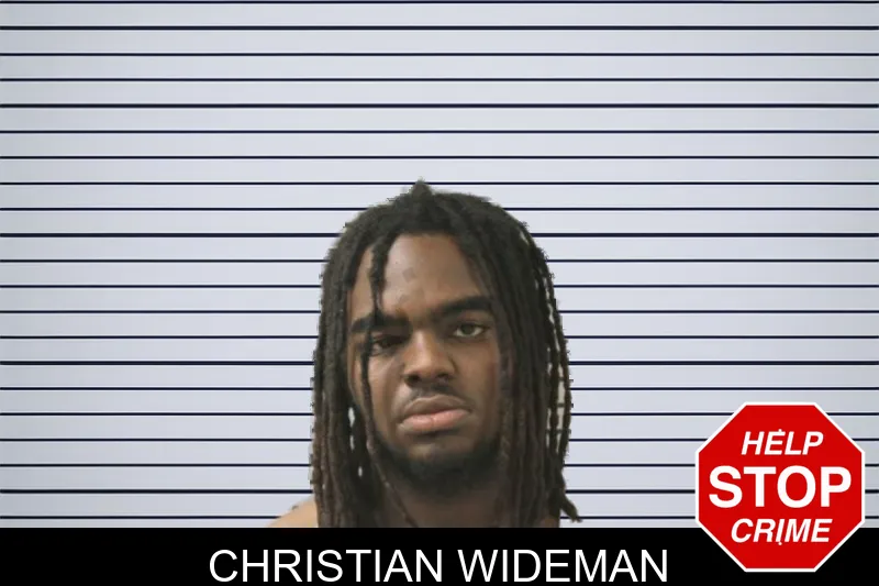 Christian Wideman mugshot