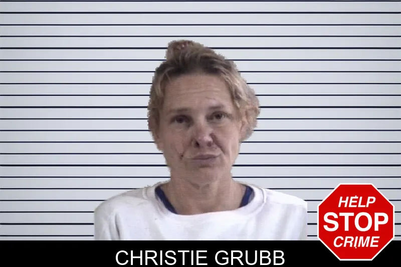 Christie Grubb mugshot – Whitfield County , Georgia Christie Grubb mugshot