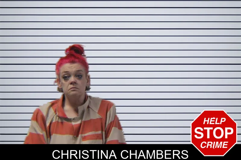 Christina Chambers mugshot