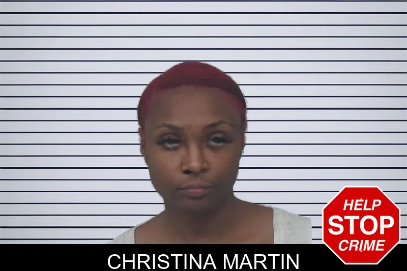 Christina Martin mugshot – Gwinnett County , Georgia Christina Martin mugshot