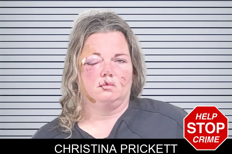 Christina Prickett mugshot