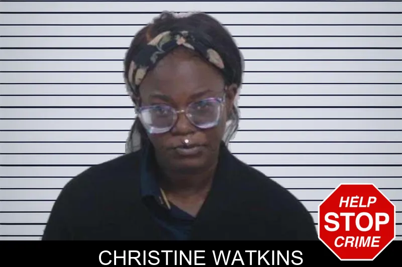 Christine Watkins mugshot