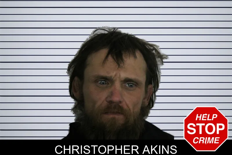 Christopher Akins mugshot