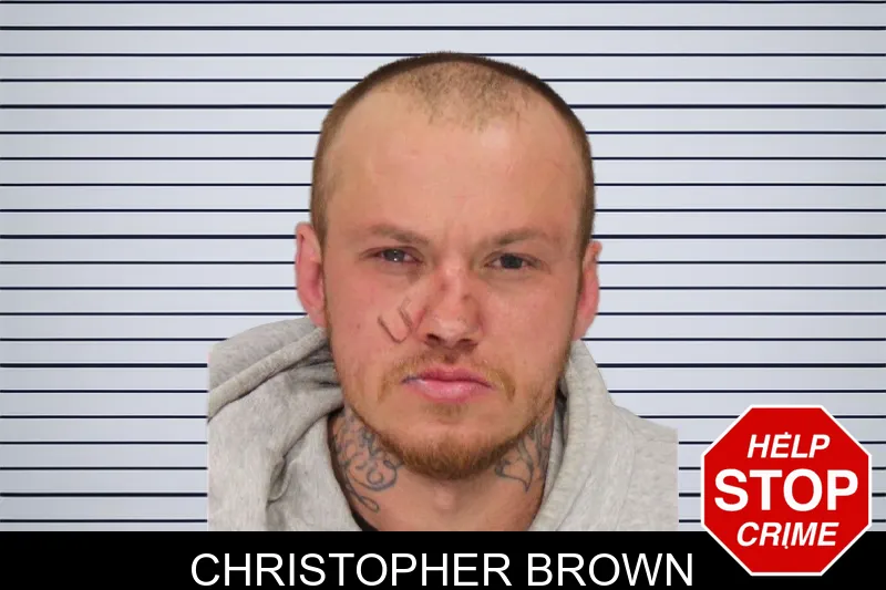 Christopher Brown mugshot