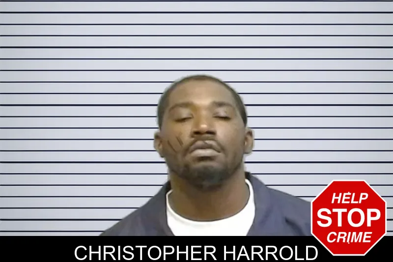 Christopher Harrold mugshot