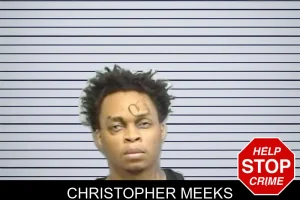 Christopher Meeks mugshot