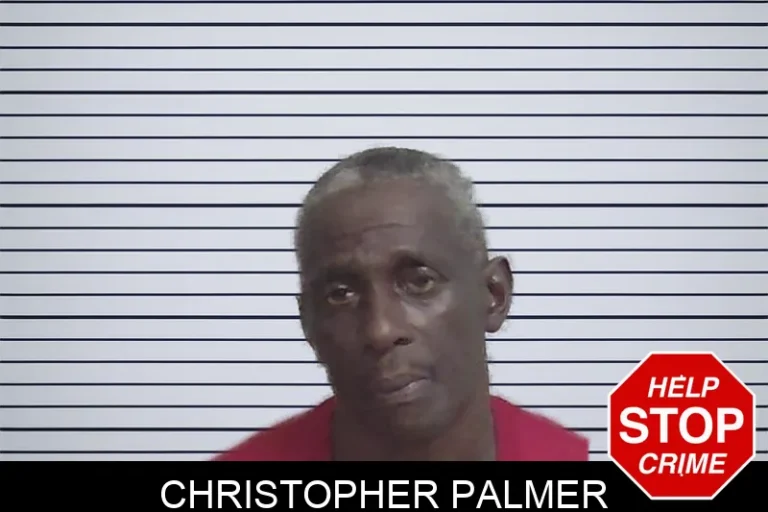 Christopher Palmer