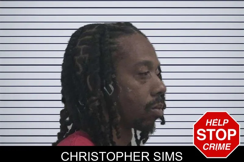 Christopher Sims mugshot – McDuffie County , Georgia Christopher Sims mugshot