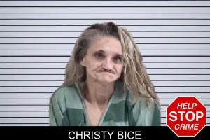 Christy Bice mugshot