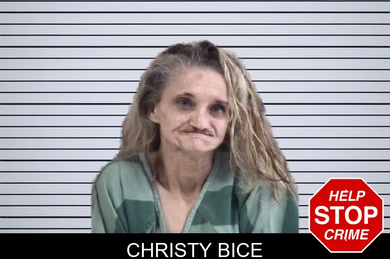 Christy Bice mugshot