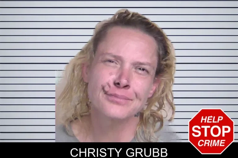Christy Grubb mugshot – Walker County , Georgia Christy Grubb