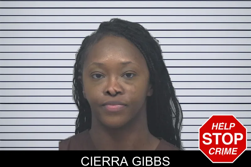 Cierra Gibbs mugshot