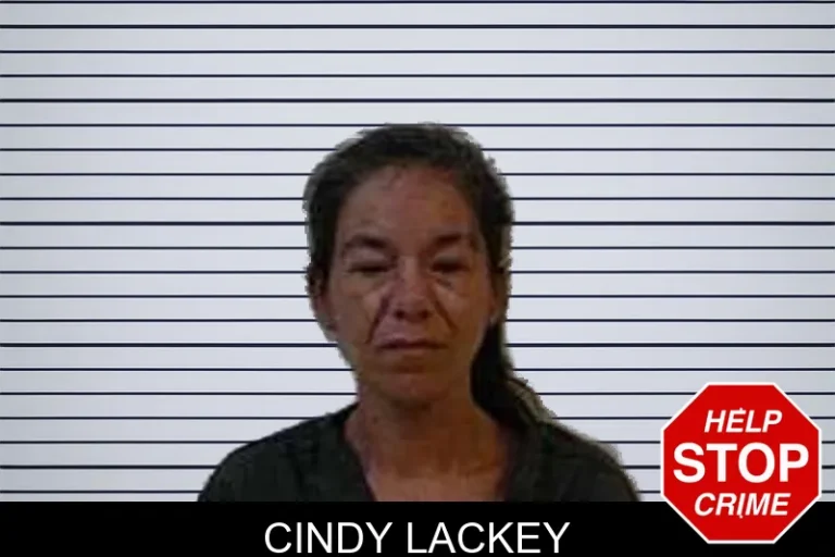 Cindy Lackey