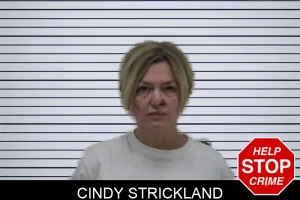 Cindy Strickland mugshot
