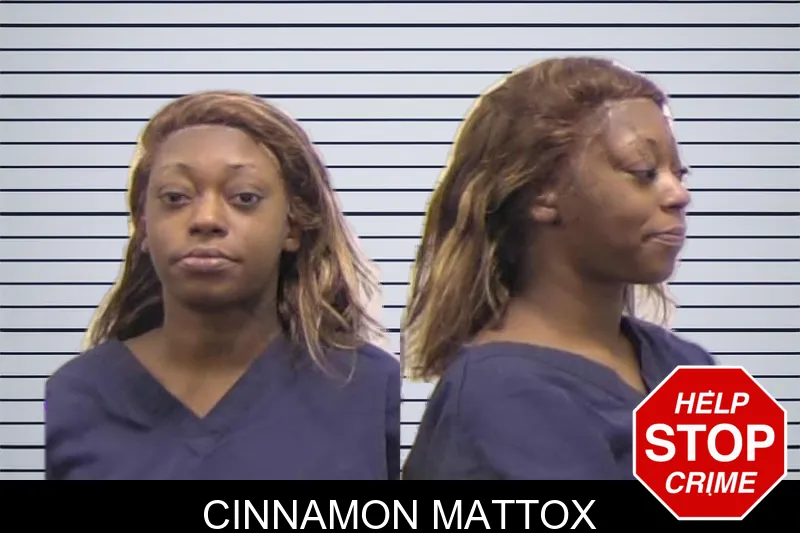 Cinnamon Mattox mugshot