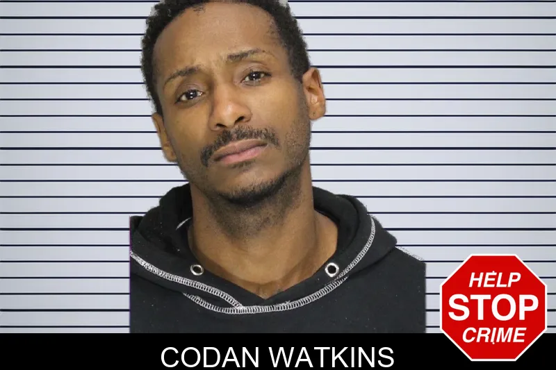 Codan Watkins mugshot – Cobb County , Georgia Codan Watkins mugshot